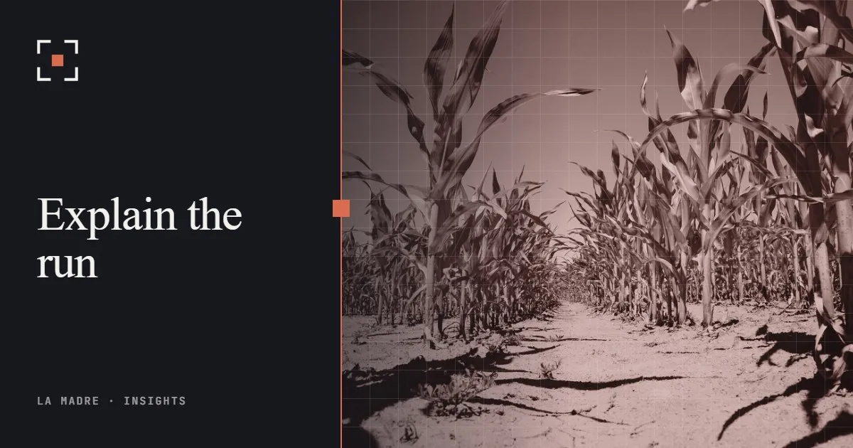 Rows of young corn plants in a summer field, in La Madre duotone, beside the words Explain the run