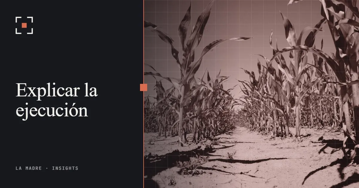 Hileras de plantas jóvenes de maíz en un campo de verano, en duotono La Madre, junto al texto Explicar la ejecución
